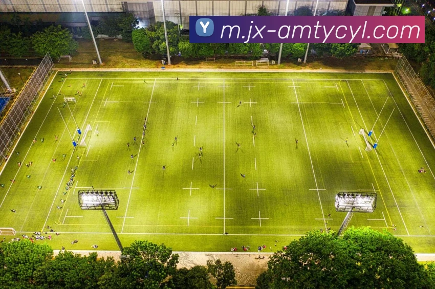 澳门太阳城平台生态图